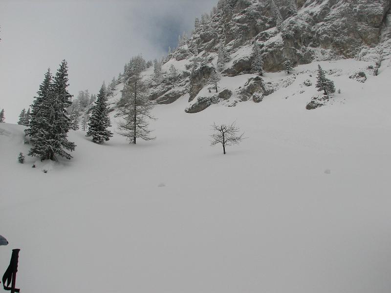 2009_03_RAX_0016.JPG