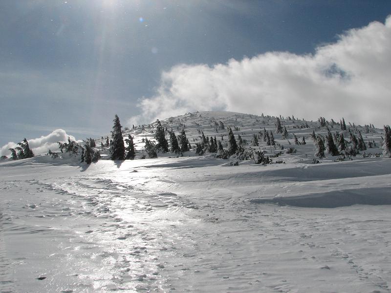 2009_03_RAX_0038.JPG