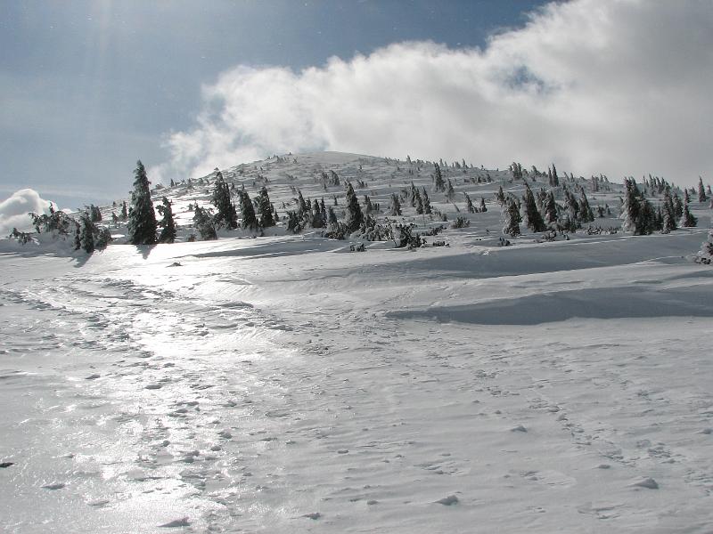 2009_03_RAX_0039.JPG